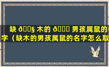 缺 🐧 木的 🐅 男孩属鼠的名字（缺木的男孩属鼠的名字怎么取）